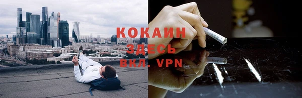 прущие грибы Армянск