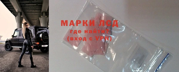 прущие грибы Армянск
