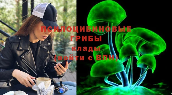 прущие грибы Армянск