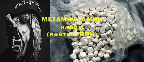 прущие грибы Армянск