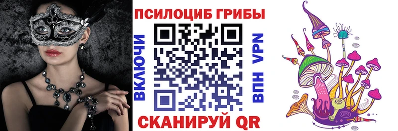 OMG вход  Печоры  Галлюциногенные грибы GOLDEN TEACHER 